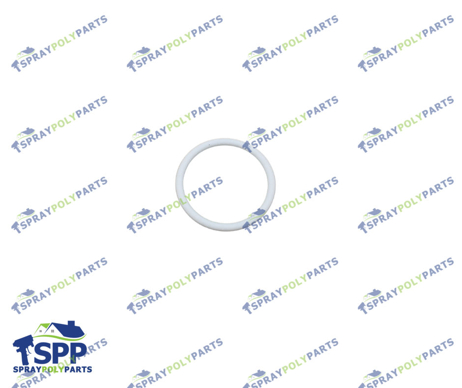 R2 PACKING ORING (107079)