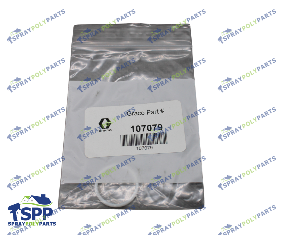 R2 PACKING ORING (107079)