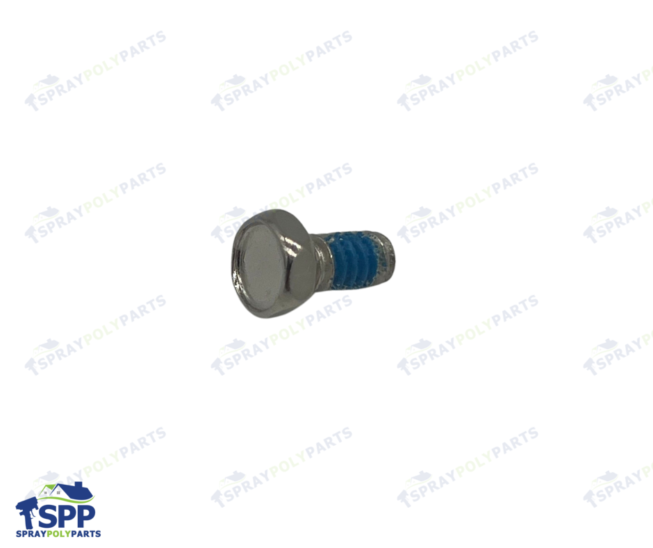 SCREW, LOCK (203953)