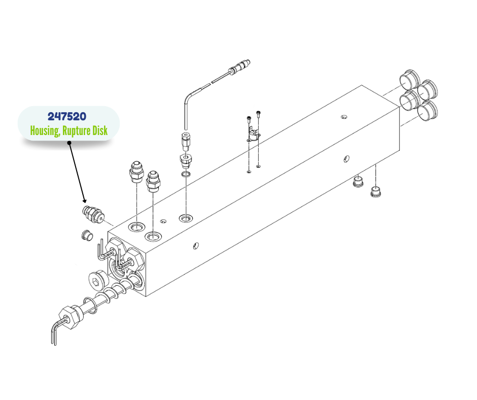 GRACO BURST DISC KIT (247520)