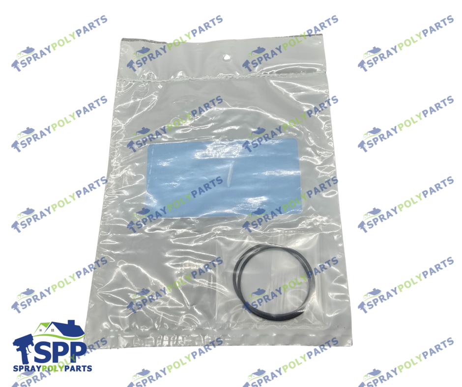 BINKS END CAP O RING (336420)