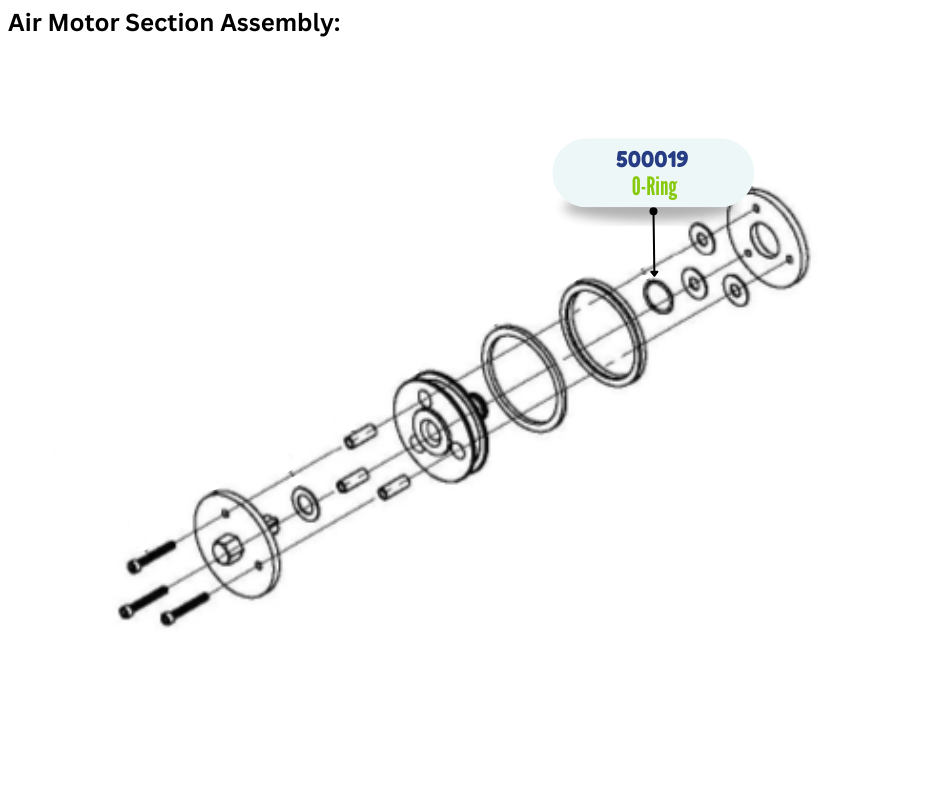 IPM VITON ORING (500019)