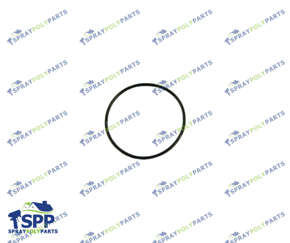 IPM VITON ORING (500066)