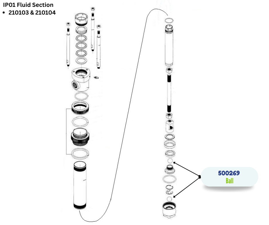 IPM INTAKE VALVE BALL (500269)