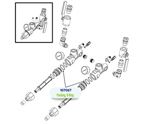 R3 ORING PACKING (107067)