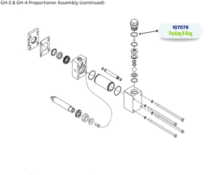 GRACO ORING PACKING (107078)