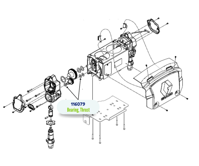 GRACO THRUST BEARING (116079)