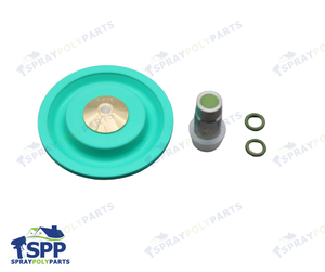 VALVE REPAIR KIT (125774)