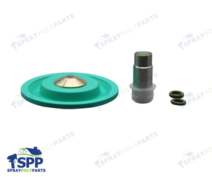 VALVE REPAIR KIT (125774)