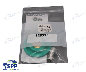 VALVE REPAIR KIT (125774)