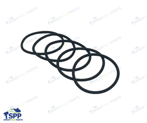 ORING FOR FUSION FX SPRAY GUN (2006158)