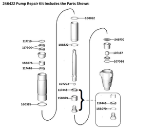 E30 PUMP REPAIR KIT (246422)