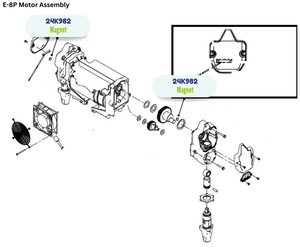 GRACO DISC MAGNET KIT (24K982)