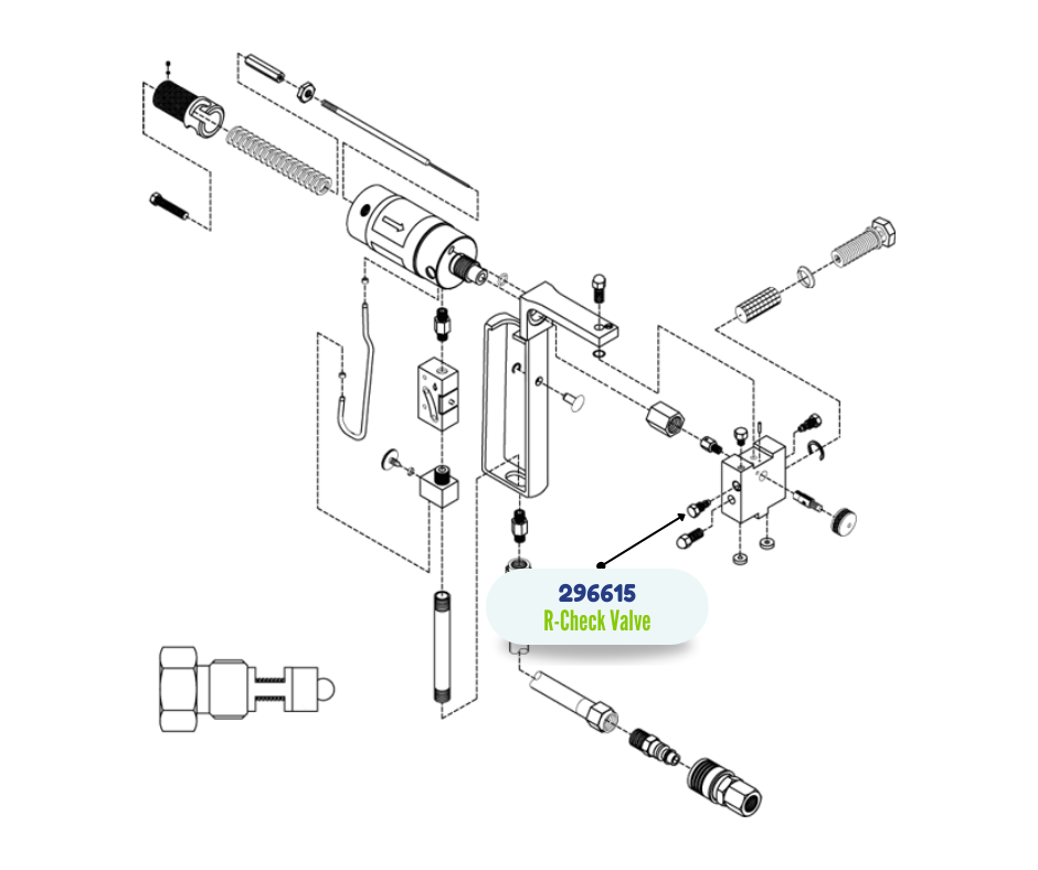 10PK DGUN R CHK VALVE KIT (296615)