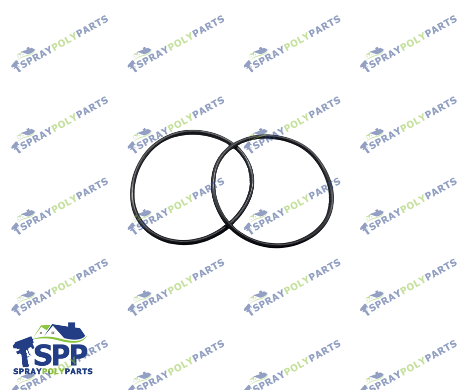 BINKS END CAP O RING (336420)