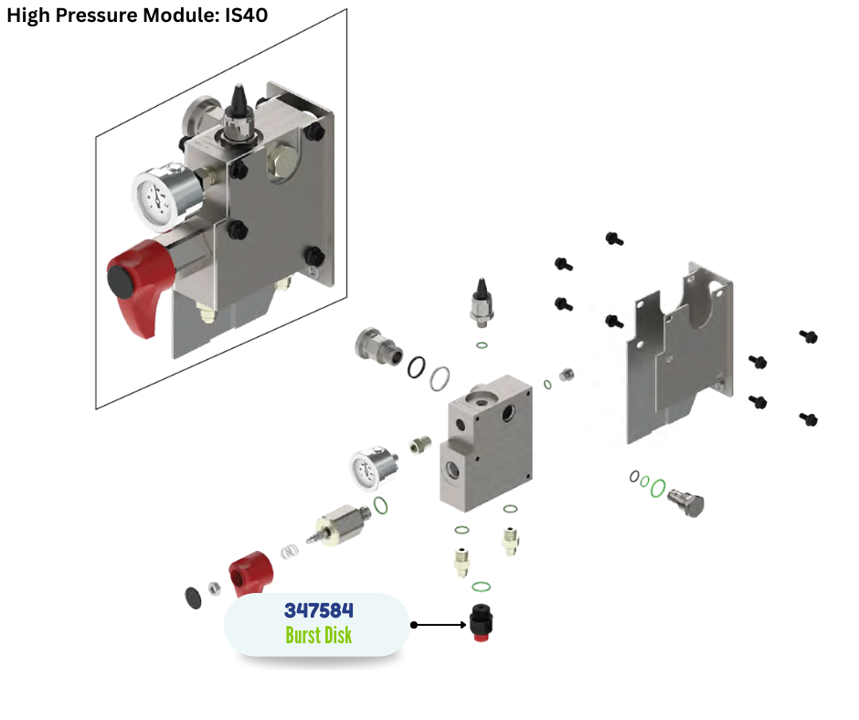 BINKS BURST DISK (347584)