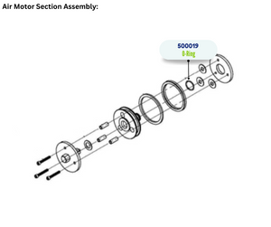 IPM VITON ORING (500019)