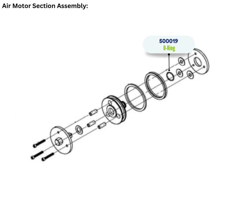 IPM VITON ORING (500019)