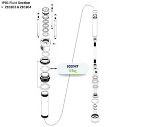 IPM VITON ORING (500147)