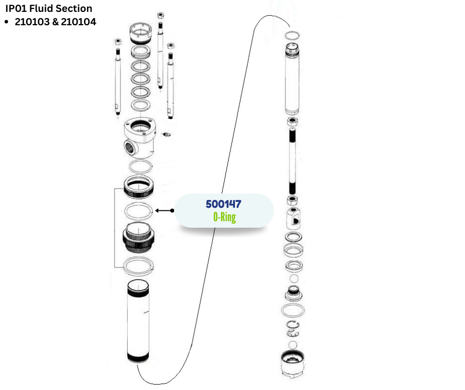 IPM VITON ORING (500147)