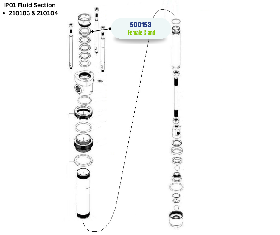 IPM FEMALE GLAND (500153)