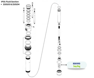 IPM SNAP RING (500193)