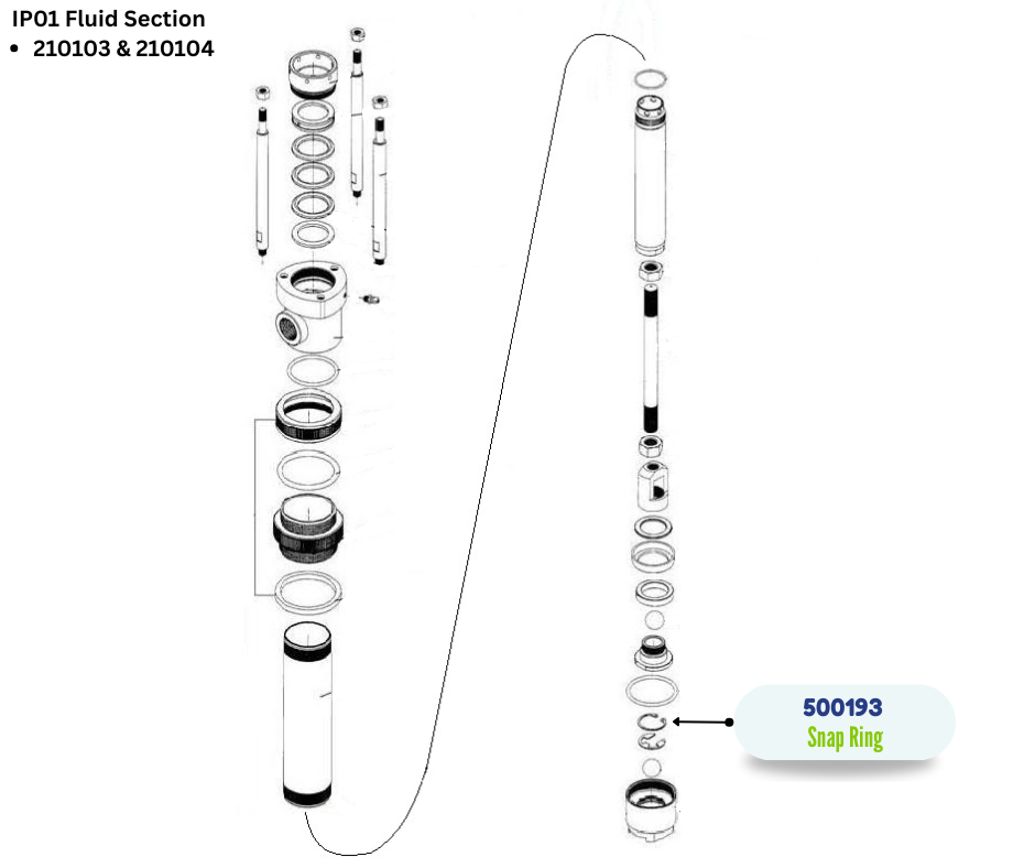 IPM SNAP RING (500193)
