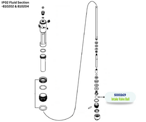 IPM INTAKE VALVE BALL (500269)