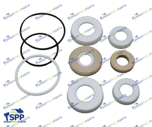 IPM FLUID SECTION REPAIR KIT (601013)