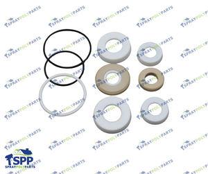 IPM FLUID SECTION REPAIR KIT (601013)