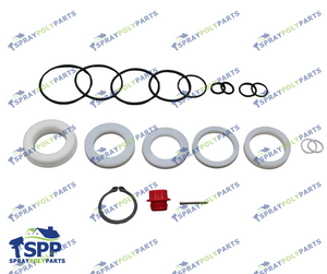 PMC120 A PUMP REBUILD KIT, TLS(202380)