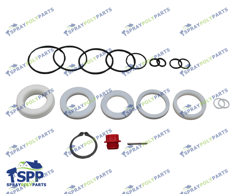 PMC120 A PUMP REBUILD KIT, TLS(202380)