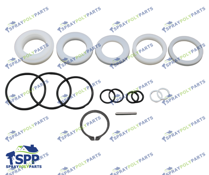 PMC120 R PUMP REBUILD KIT, TLS(202381)