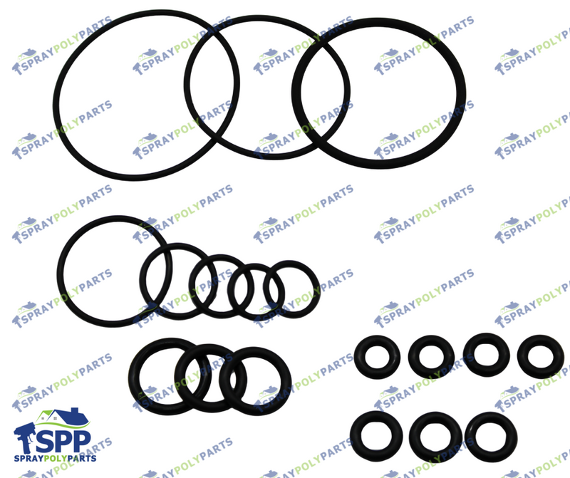 SPP  O RING KIT (ORG 256490A) (ORG-256490A)